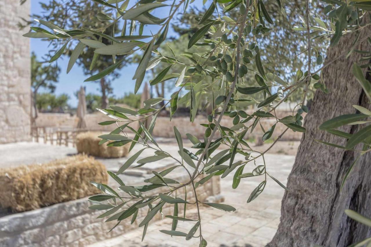 Masseria Fanizzi Conversano Exterior foto