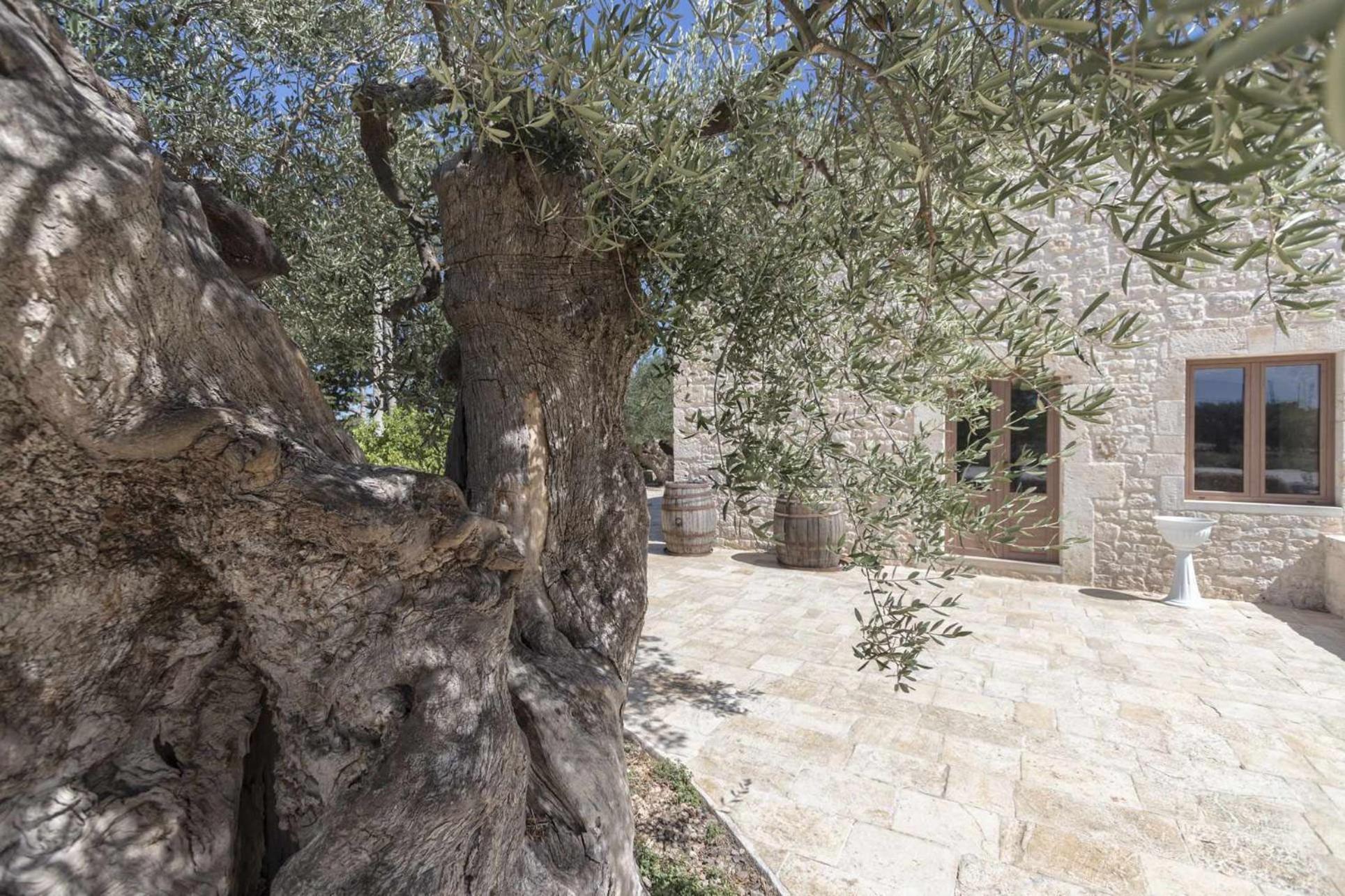Masseria Fanizzi Conversano Habitación foto