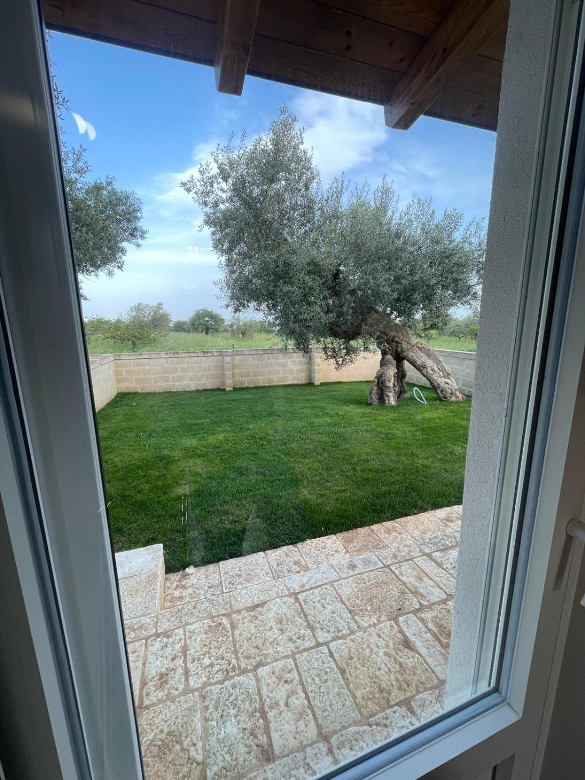 Masseria Fanizzi Conversano Habitación foto